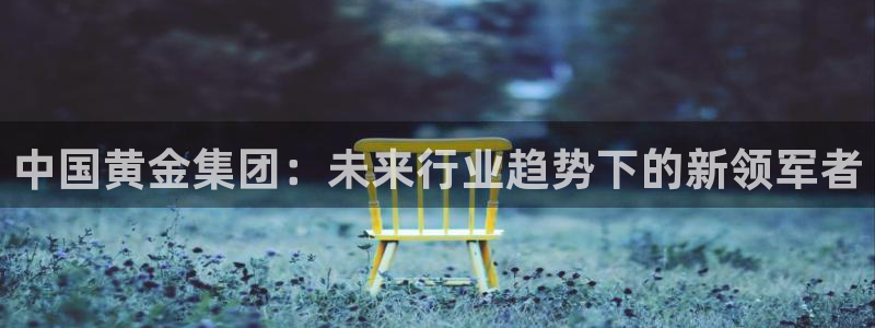 新宝5测速线路