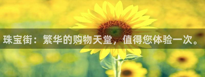 新宝5月：珠宝街：繁华的购物天堂，值得您体验一次。