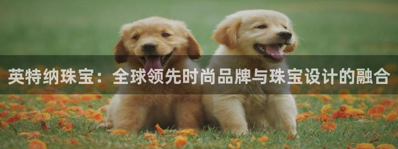 新宝5客户端登录：英特纳珠宝：全球领先时尚品牌与珠宝设计的融合