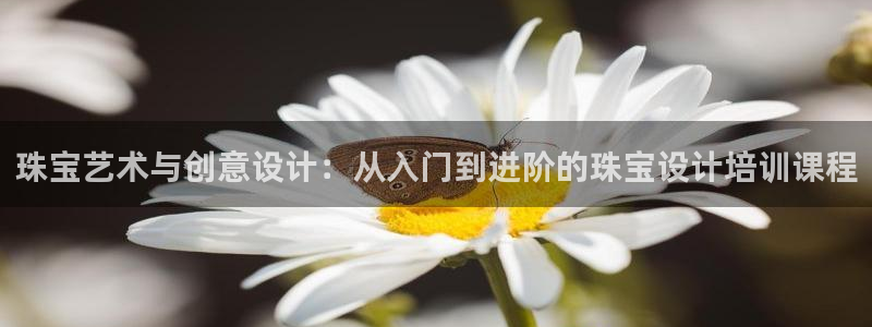 新宝5导师：珠宝艺术与创意设计：从入门到进阶的珠宝设计培训课程