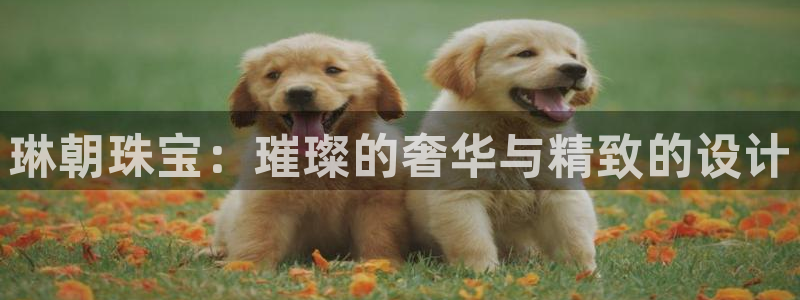新宝5招商部：琳朝珠宝：璀璨的奢华与精致的设计