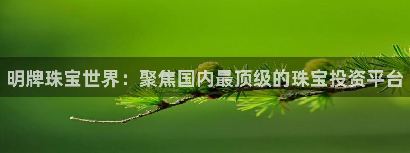 新宝5官网平台：明牌珠宝世界：聚焦国内最顶级的珠宝投资平台