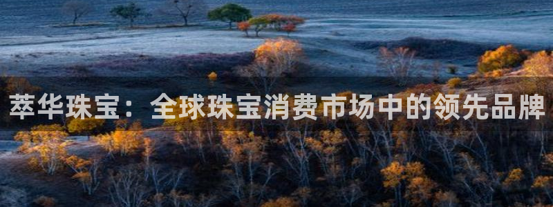 5新宝：萃华珠宝：全球珠宝消费市场中的领先品牌
