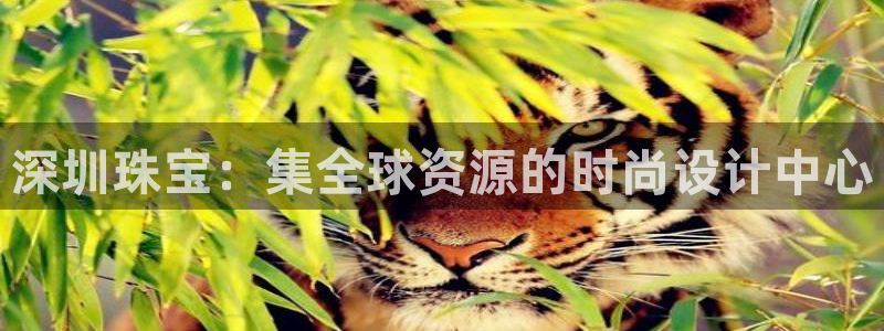 新宝5手机平台登陆：深圳珠宝：集全球资源的时尚设计中心