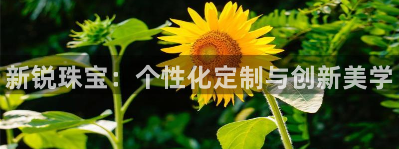 新宝5玩法：新锐珠宝：个性化定制与创新美学