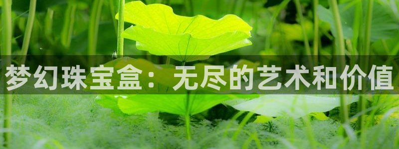 新宝5月：梦幻珠宝盒：无尽的艺术和价值