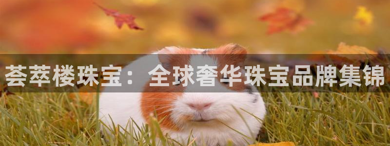 新宝5月：荟萃楼珠宝：全球奢华珠宝品牌集锦