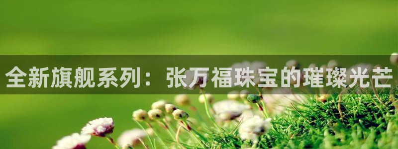 新宝5线路登录检测：全新旗舰系列：张万福珠宝的璀璨光芒