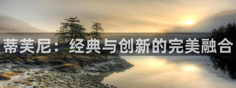 新宝5官方：蒂芙尼：经典与创新的完美融合