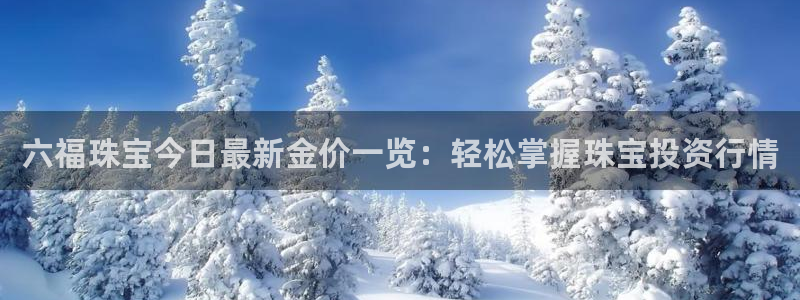 新宝5娱乐没