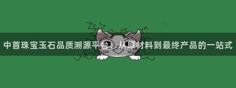 新宝5娱乐经：中首珠宝玉石品质溯源平台：从原材料到最终产品的一站式