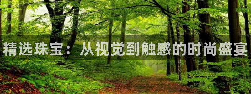 新宝5天：精选珠宝：从视觉到触感的时尚盛宴