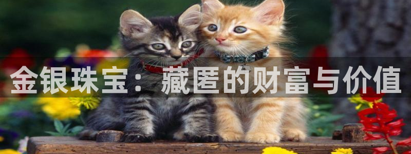 新宝5娱乐代理：金银珠宝：藏匿的财富与价值