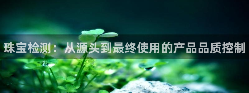 新宝5彩票平台登陆：珠宝检测：从源头到最终使用的产品品质控制