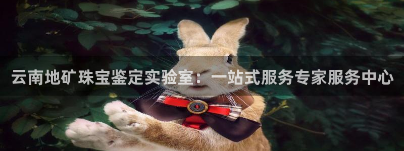 新宝5内部：云南地矿珠宝鉴定实验室：一站式服务专家服务中心