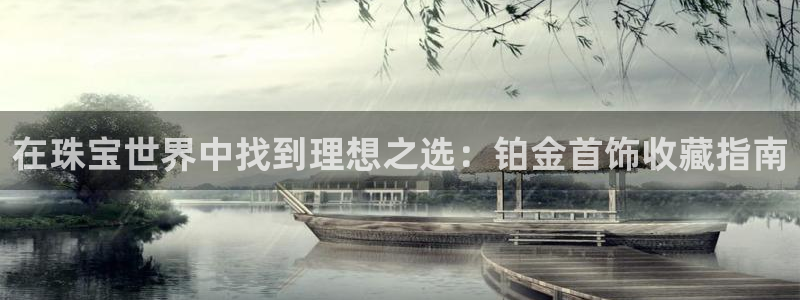 新宝5娱乐多：在珠宝世界中找到理想之选：铂金首饰收藏指南