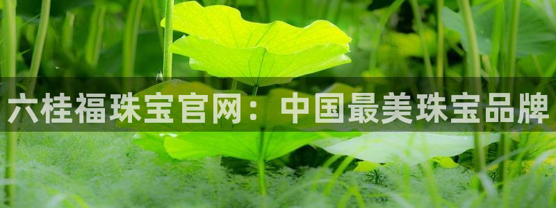 新宝5直属：六桂福珠宝官网：中国最美珠宝品牌