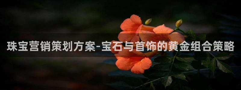 新宝5_测：珠宝营销策划方案-宝石与首饰的黄金组合策略