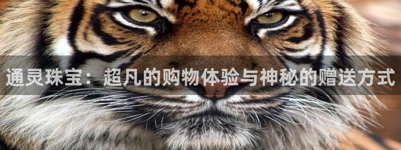 新宝5登陆：通灵珠宝：超凡的购物体验与神秘的赠送方式