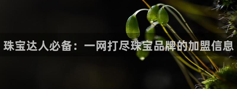 新宝5登录网址：珠宝达人必备：一网打尽珠宝品牌的加盟信息