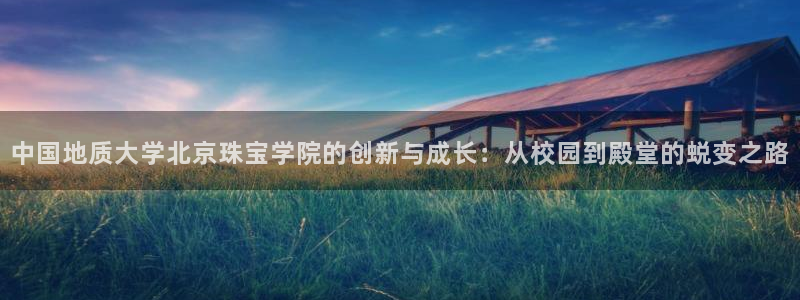 新宝娱乐5：中国地质大学北京珠宝学院的创新与成长：从校园到殿堂的蜕变之路