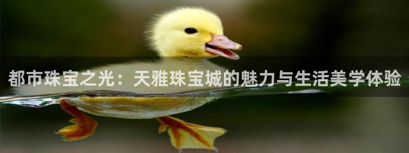 新宝5娱乐主管
