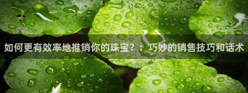 新宝5登录界面：如何更有效率地推销你的珠宝？：巧妙的销售技巧和话术