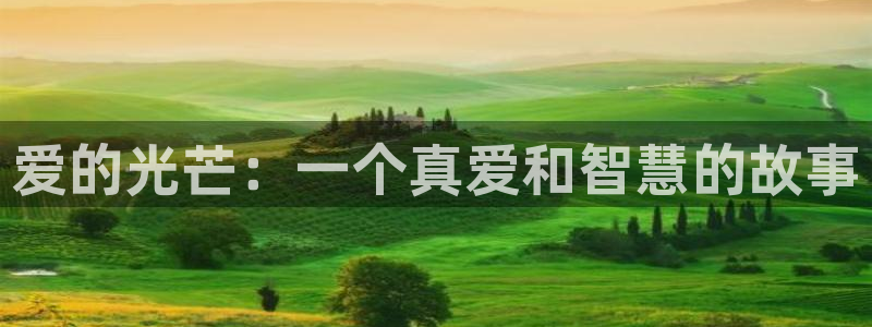 新宝5公司：爱的光芒：一个真爱和智慧的故事