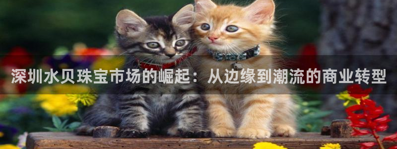 新宝5日谢29999：深圳水贝珠宝市场的崛起：从边缘到潮流的商业转型