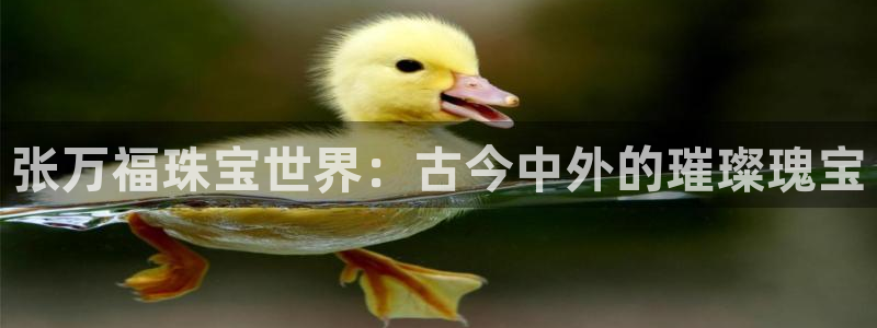 i新宝5：张万福珠宝世界：古今中外的璀璨瑰宝