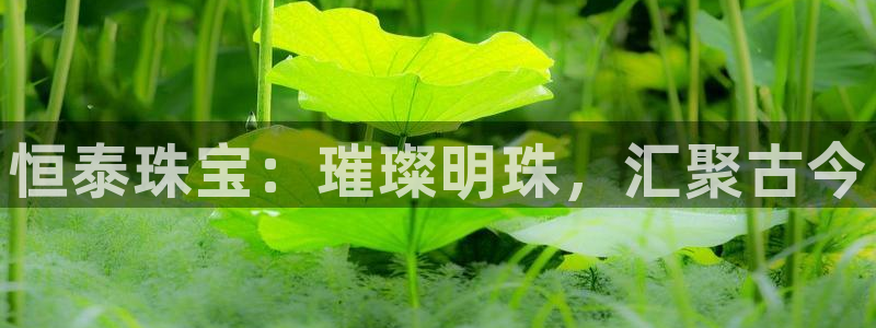 新宝5娱乐平台：恒泰珠宝：璀璨明珠，汇聚古今