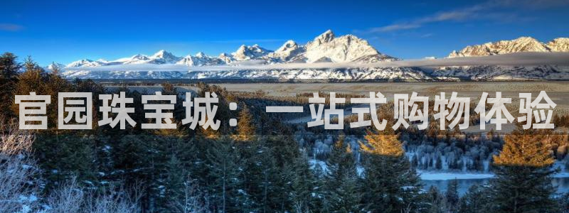 新宝5注册账号：官园珠宝城：一站式购物体验