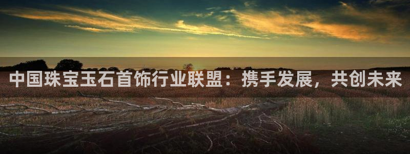 新宝5娱乐家：中国珠宝玉石首饰行业联盟：携手发展，共创未来
