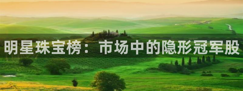 新宝5手机测速：明星珠宝榜：市场中的隐形冠军股