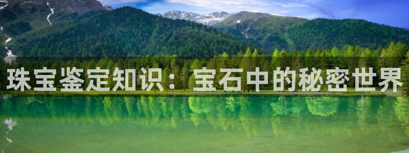 新宝5浗维33 300：珠宝鉴定知识：宝石中的秘密世界