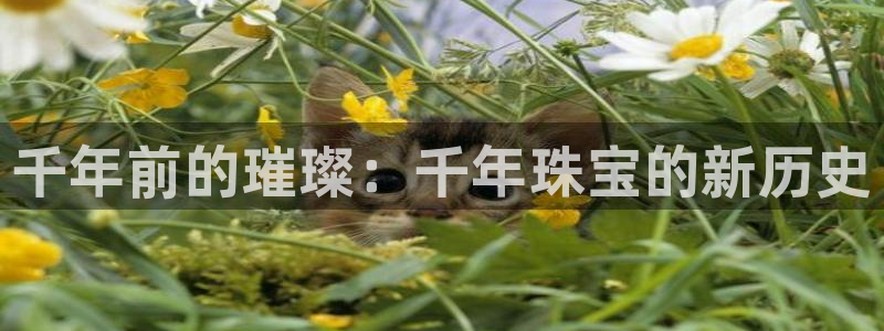 新宝5X：千年前的璀璨：千年珠宝的新历史