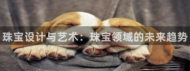 新宝那2O5O5O：珠宝设计与艺术：珠宝领域的未来趋势