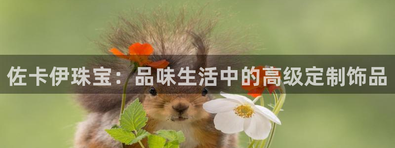 新宝5策略：佐卡伊珠宝：品味生活中的高级定制饰品