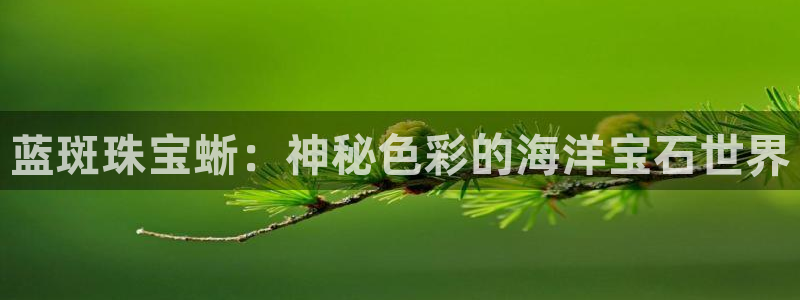 新宝5吕74OOO5：蓝斑珠宝蜥：神秘色彩的海洋宝石世界