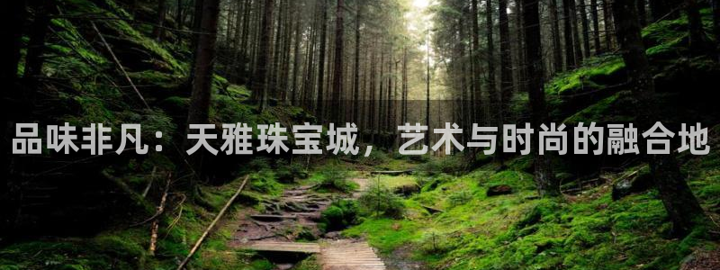 新宝5口67五壹叁八：品味非凡：天雅珠宝城，艺术与时尚的融合地