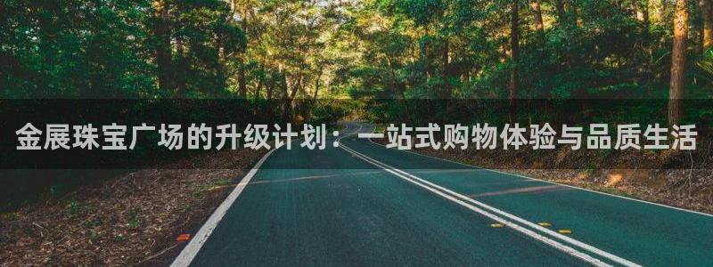 新宝5线路登录检测：金展珠宝广场的升级计划：一站式购物体验与品质生活