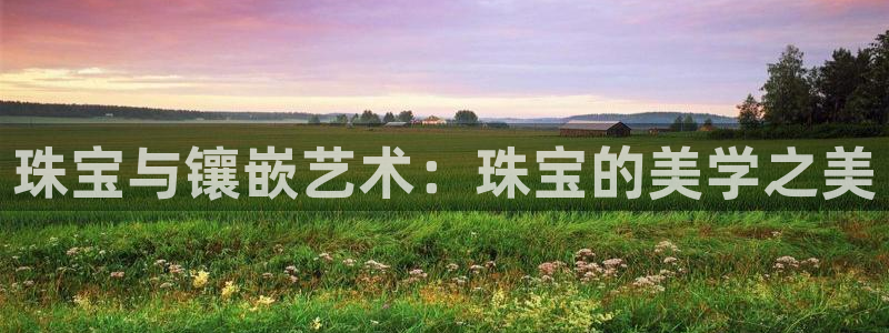 新宝5娱乐家：珠宝与镶嵌艺术：珠宝的美学之美