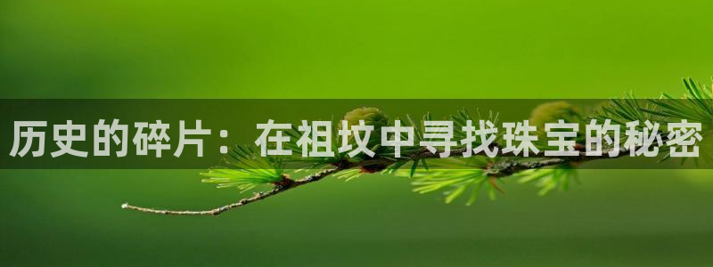 新宝5策略：历史的碎片：在祖坟中寻找珠宝的秘密