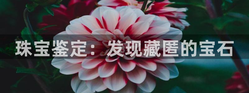 新宝5下载app：珠宝鉴定：发现藏匿的宝石