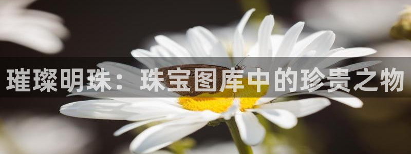 新宝5是谁：璀璨明珠：珠宝图库中的珍贵之物