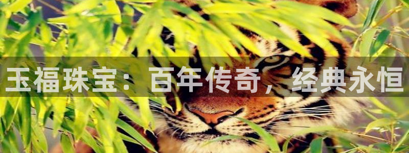 新宝5注册首页：玉福珠宝：百年传奇，经典永恒