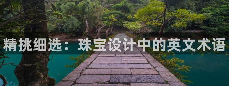 新宝娱乐5入口：精挑细选：珠宝设计中的英文术语