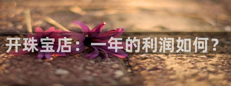 新宝3得74OO5：开珠宝店：一年的利润如何？