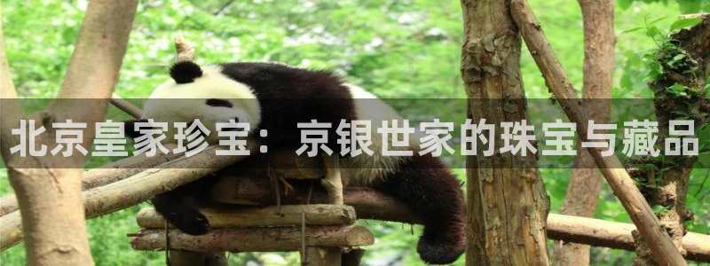 新宝5线路登录检测：北京皇家珍宝：京银世家的珠宝与藏品