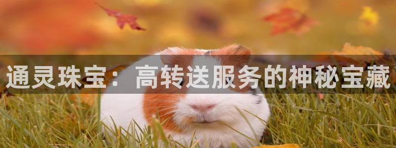 新宝5如何注册：通灵珠宝：高转送服务的神秘宝藏